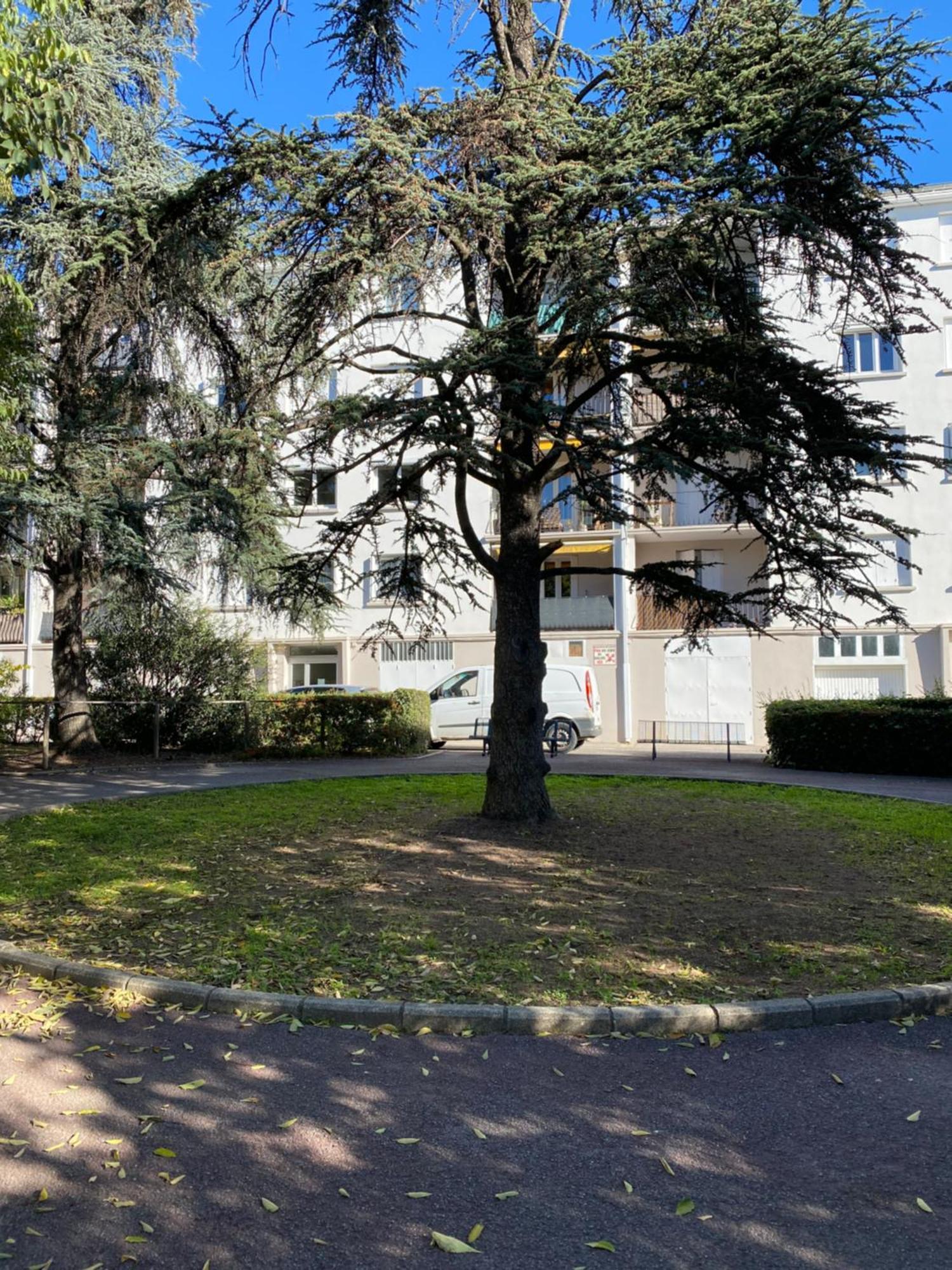 Appartement Rosaluz Montpellier Exterior photo